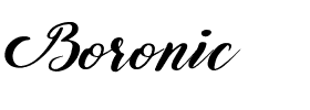 Boronic.otf Font conversion image