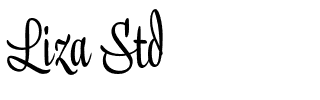 Liza Std.otf Font conversion image