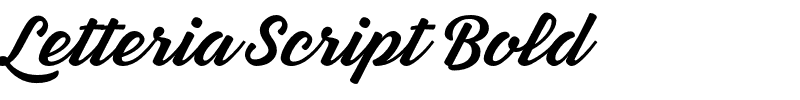 Letteria Script Bold.otf Font conversion image