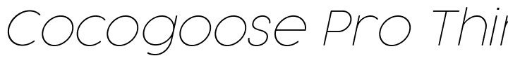 Cocogoose Pro Thin.ttf Font conversion image