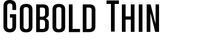 Gobold Thin.otf Font conversion image