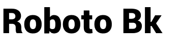 Roboto Bk.ttf Font conversion image