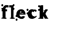 fleck.ttf Font conversion image