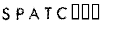 SPATC___.ttf Font conversion image