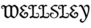 WELLSLEY.ttf Font conversion image