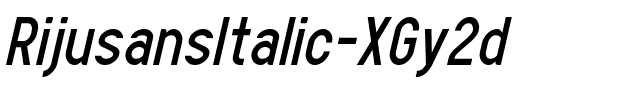 RijusansItalic-XGy2d.ttf